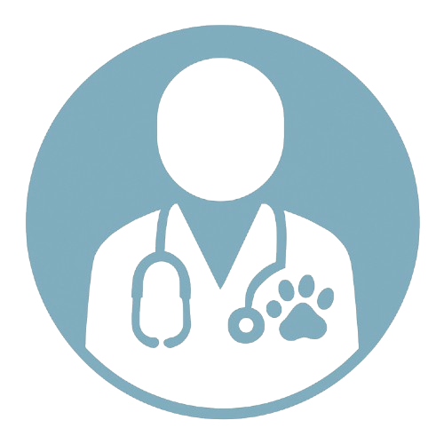 Profissionais Experientes